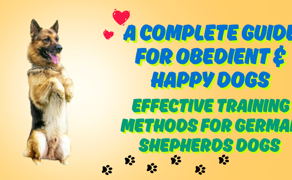 Training Methods for German Shepherds